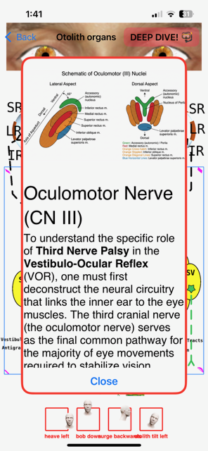 clinic exterior hospital building